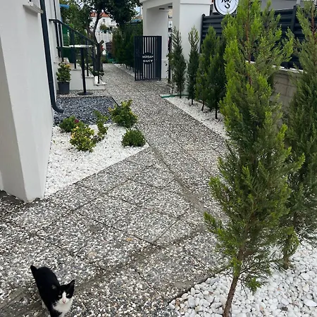 Διαμέρισμα Mirsah