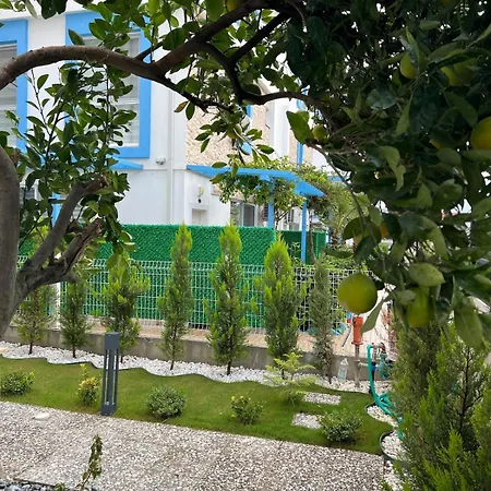 Apartamento Mirsah *