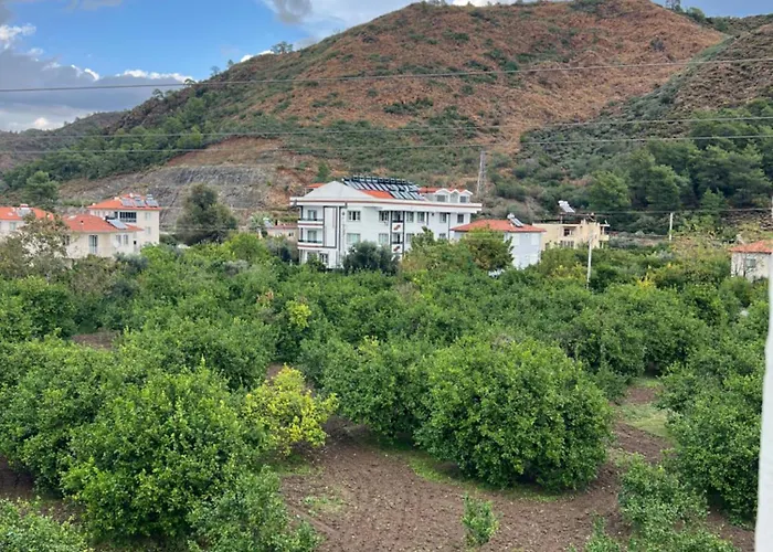 Mirsah Appartement *